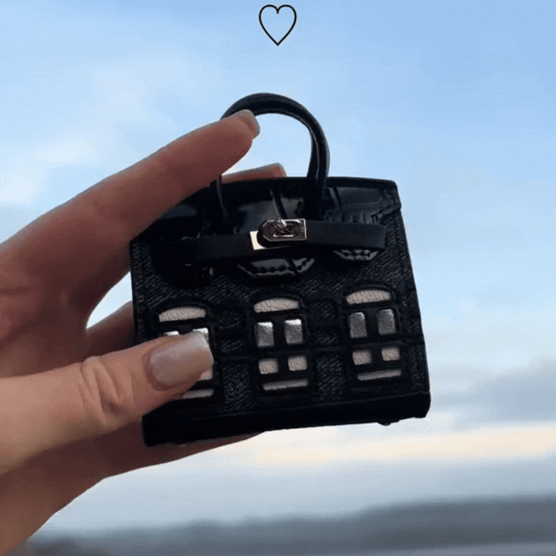 Luxe B*rkin AirPods Bag